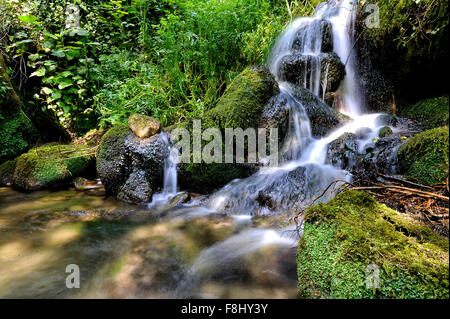 Italien Campania Monti del Matese Fontegreca La Cipresseta Wasserfall Stockfoto