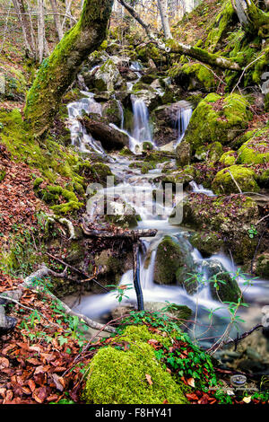 Italien Kampanien Monti del Matese Wasserfall Stockfoto