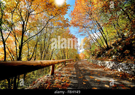 Italien-Kampanien-Herbst in Monti del Matese Piana Delle Pesche Stockfoto