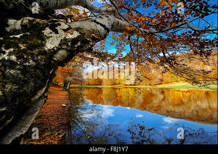 Italien-Kampanien-Herbst in Monti del Matese Piana Delle Pesche Stockfoto