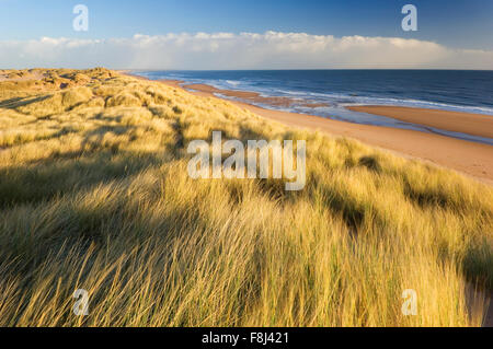 Balmedie Strand - in der Nähe von Aberdeen, Schottland. Stockfoto