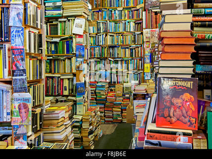 Innenausbau von Camilla Buchhandlung, Grove Road, Eastbourne, East Sussex, England UK Stockfoto