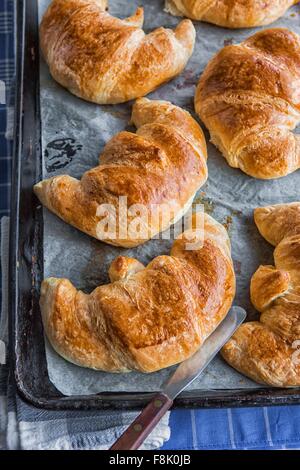 Frisch gebackene Croissants, Draufsicht Stockfoto