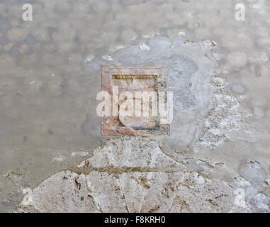 Alte Wappen Basrelief auf der Outdoor-Burgmauer am Bleder See in Slowenien Stockfoto