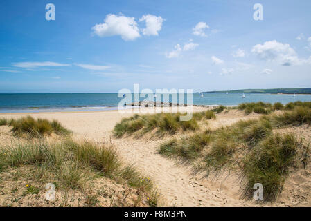 Schöne Dünen und Strand Landschaft an sonnigen Sommertag Stockfoto