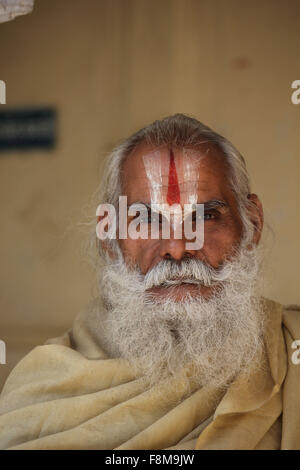 Jaipur, Indien, 30. November 2012: Indischer Mann mit langem Bart und das typische indische Tilak-Symbol auf der Stirn, Stockfoto