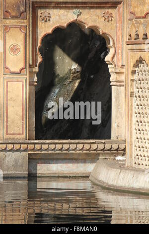 Jaipur, Indien, 30. November 2012: Galta Tempel (oder den Affen Tempel). Galtaji ist eine alte Hindu Wallfahrtsort in der Stadt o Stockfoto