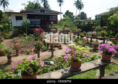 Hübscher Garten mit blühenden Pflanzen auf der Insel von Kok Kret am Stadtrand von Bangkok, Thailand Stockfoto