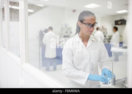 Wissenschaftler arbeiten im Labor Stockfoto