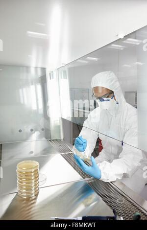 Wissenschaftler arbeiten im Labor Stockfoto