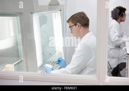 Wissenschaftler arbeiten im Labor Stockfoto