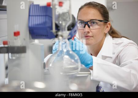 Wissenschaftler mit Drehverdampfer im Labor Stockfoto