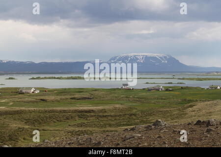 Blick über den See Myvatn Nordosten Islands Stockfoto