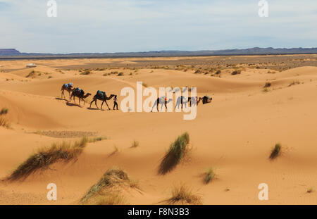 Kamel-Karawane durch die Wüste gehen Stockfoto