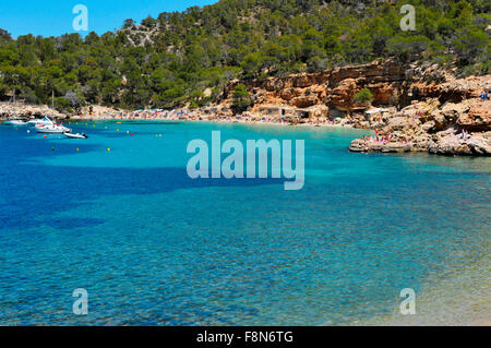einen Panoramablick über Cala Salada Strand in San Antonio, Ibiza Insel, Spanien Stockfoto