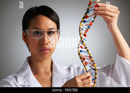 Wissenschaftlerin Studium molekulare Modell In Form der Helix Stockfoto