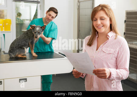 Happy Woman Looking At Bill In Tierarztpraxis Stockfoto
