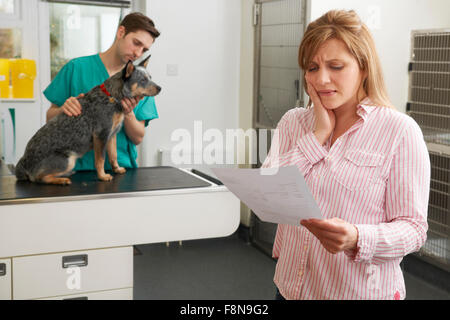 Besorgt Woman Looking At Bill In Tierarztpraxis Stockfoto