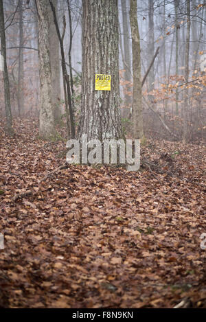 Gelbes Schild am Baum im Wald Warnung des Privateigentums Grenze in Wäldern. Private Unterkunft gebucht. Stockfoto