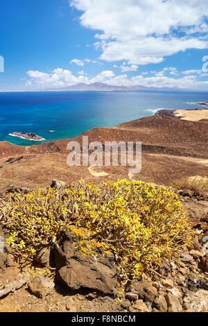 Küste von Lobos, kleine Insel in der Nähe der Insel Fuerteventura, Spanien, Kanarische Inseln Stockfoto