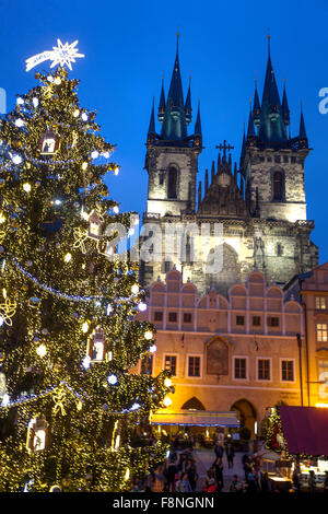 Prager Weihnachtsmarkt Altstädter Ring Baum Kirche, Prag, Tschechien Stockfoto