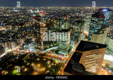 Ein Panoramablick auf die Stadt Scape von Tokio, Japan Stockfoto