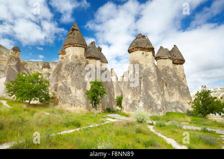 Cappadocia - Türkei, Steinformationen in der Nähe von Zelve, UNESCO Stockfoto