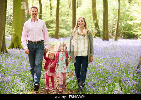 Familie zu Fuß durch Bluebell Woods zusammen Stockfoto