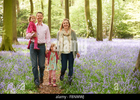 Familie zu Fuß durch Bluebell Woods zusammen Stockfoto