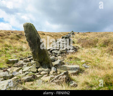 Beschädigte oder eingestürzt Trockenmauern oder trockenen Steinmauer am Moor in Derbyshire Peak District, England, Großbritannien Stockfoto