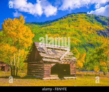 Hütte am Capitol City, Uncompahgre National Forest, Colorado, Ghost Town gegründet 1877, Henson Creek, Ingenieur Pass Stockfoto