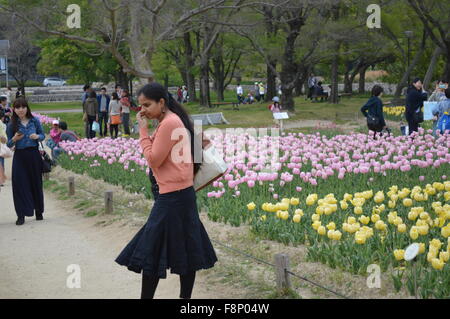 Tulpe Garten: pink, rot und weiße Tulpe Blume Zeilen in Banpaku-Koen Osaka Park Stockfoto