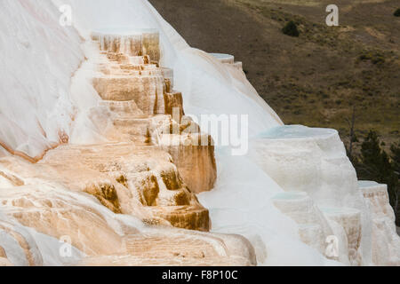 Erdwärme Strom von heißen, Carbonat reichen Wasser, Formulare, cascading, orangefarbenen und weißen Travertin und Kalkstein Terrassen. Stockfoto