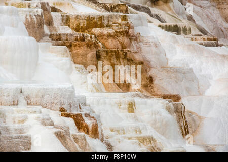 Erdwärme Strom von heißen, Carbonat reichen Wasser, Formulare, cascading, orangefarbenen und weißen Travertin und Kalkstein Terrassen. Stockfoto