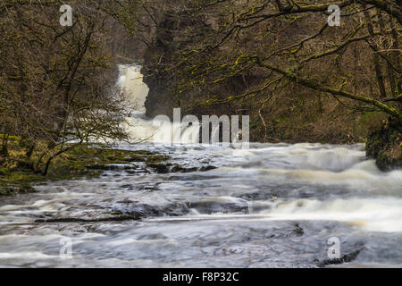 Fluss Nedd Fechan, Sgwd Ddwli Isaf Wasserfall. Pontneddfechan, Vale of Neath, Powys, Wales, Vereinigtes Königreich Winter. Stockfoto