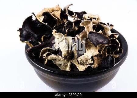 Schwarzen Keramikschale mit getrockneten Pilzen in Auricularia Polytricha, Wolke Ohr Pilz oder Chinesisch schwarze Pilz aufgetürmt. Nahaufnahme Stockfoto