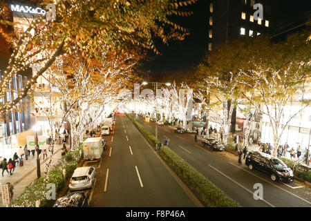 Tokio, Japan. 11. Dezember 2015. Zelkova Bäume sind durch Weihnachtsbeleuchtung in Omotesando Einkaufsstraße in Tokio am 1. Dezember 2015 beleuchtet. Bildnachweis: Pasya/AFLO/Alamy Live-Nachrichten Stockfoto