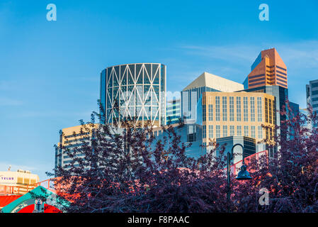 Skyline von Calgary von Eau Claire Bezirk, Calgary, Alberta, Kanada Stockfoto