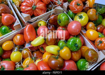 Bio-Tomaten auf Verkauf, Borough Market, London, UK Stockfoto