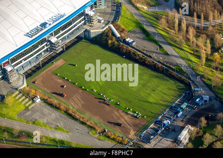 Stadion Arena Auf Schalke, Fußballstadion, Liga-Stadion in Gelsenkirchen, neuen Kunstrasen, Gelsenkirchen, Ruhrgebiet, Stockfoto