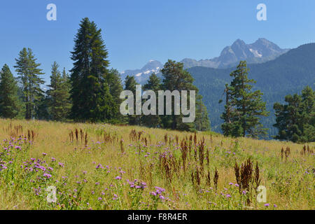 Schöne Tal und Berge im Kaukasus-Gebirge, der kaukasischen Main Ridge. Nord-Kaukasus Stockfoto