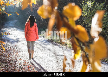 Frau zu Fuß durch den Wald Stockfoto