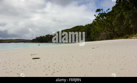 Jervis Bay Beach, New South Wales, Australien Stockfoto