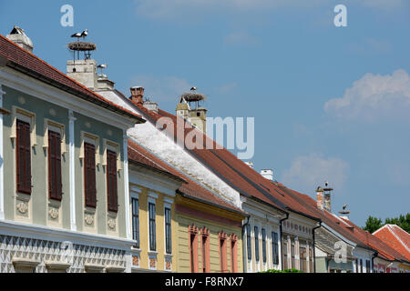 Storchennester mit Weißstörche (Ciconia Ciconia) auf den Dächern in der Hauptstraße, Rust, Neusiedlersee, Burgenland, Österreich Stockfoto