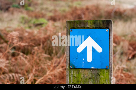 Weißer Pfeil nach oben auf einem blauen Hintergrund montiert, ein Wegweiser Stockfoto