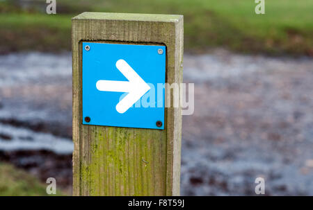 Weißer Pfeil nach rechts auf ein blauer Hintergrund auf ein Schild montiert Stockfoto