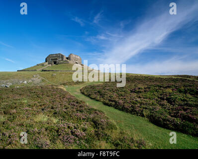 Offa's Dyke Path und das Jubiläums-Denkmal (1810), ein berühmtes Wahrzeichen auf dem Gipfel des Moel Famau im Bereich Clwydian, Denbighshire. Stockfoto