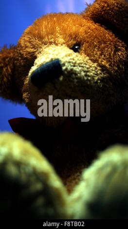 Teddy Bär Gesicht mit blauem Hintergrund Stockfoto