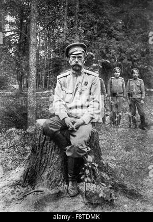 Der ehemalige Zar Nicholas II, am Tsarskoye Selo nach seiner Abdankung im März 1917. Eines der letzten Fotos von Nicholas II Stockfoto