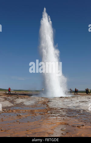 Geysir Strokkur gegen blauen Sommerhimmel, ausbrechenden Heißwasser und Dampf. Island Stockfoto